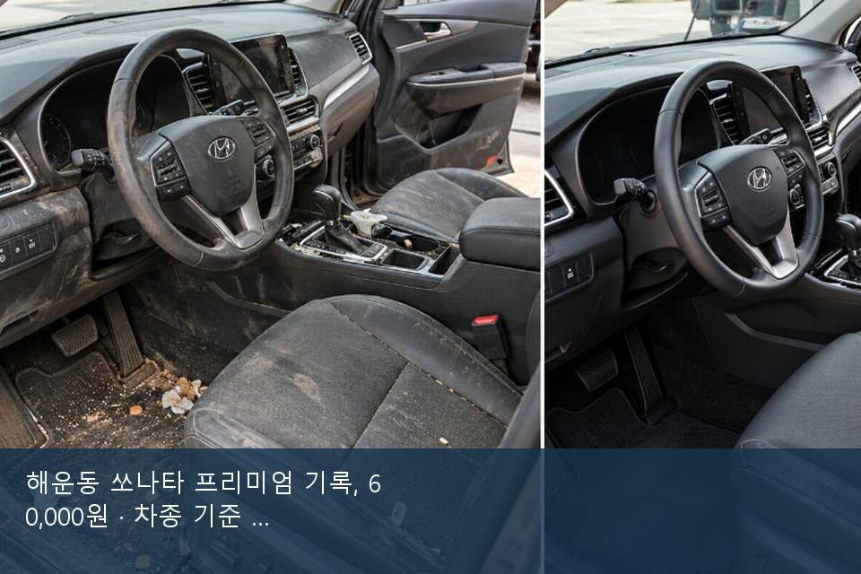 해운동 쏘나타 프리미엄 기록, 60,000원 · 차종 기준 금액